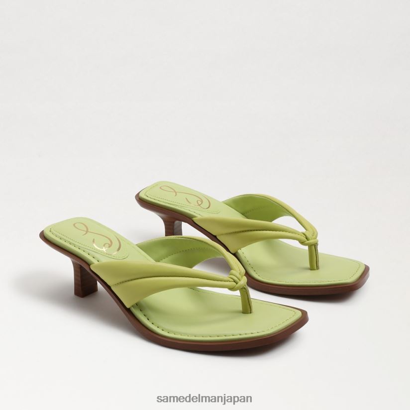 jp_sam_edelman_e5a5b3e680a7_e38380e38395e3838be383bc_e38388e383b3e382b0_e382b5e383b3e38380e383ab_e382ade382a6e382a4e383ace382b.jpg jp Sam Edelman 女性 ダフニー トング サンダル キウイレザー 4NFV0P710 履物 - Image 1