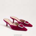 jp Sam Edelman 女性 ブリット キトゥン ヒール ミュール ラズベリーベルベット 4NFV0P431 履物