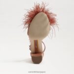jp Sam Edelman 女性 野郎フェザーヒールサンダル シエナローズ 4NFV0P765 履物 - Image 6